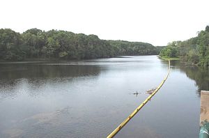 gal/Agawam Canal and the Southworth Company/tn_DCP_3213.jpg